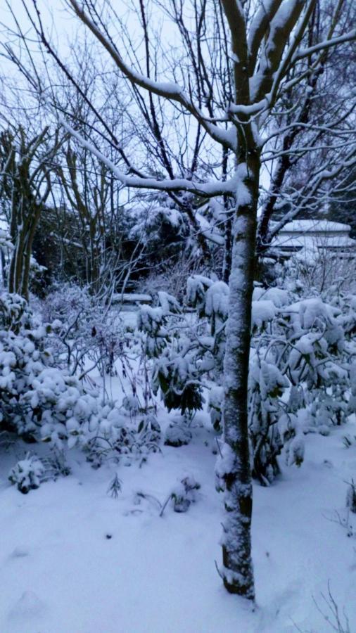Mountain Ash Bed & Breakfast Horncastle  Luaran gambar